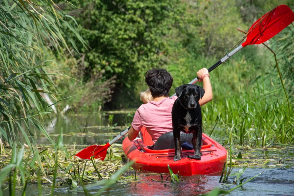 Person paddling a red kayak through a narrow, green waterway with a black dog sitting at the front of the kayak.